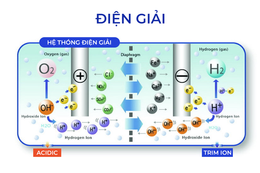Nguyên lý hoạt động của máy lọc Trim ion tạo ra loại nước kiềm giàu H2